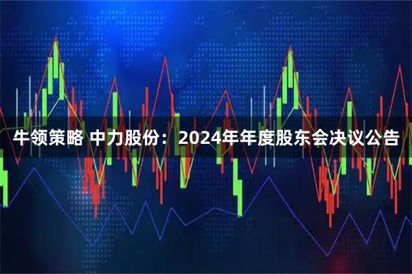 牛领策略 中力股份：2024年年度股东会决议公告