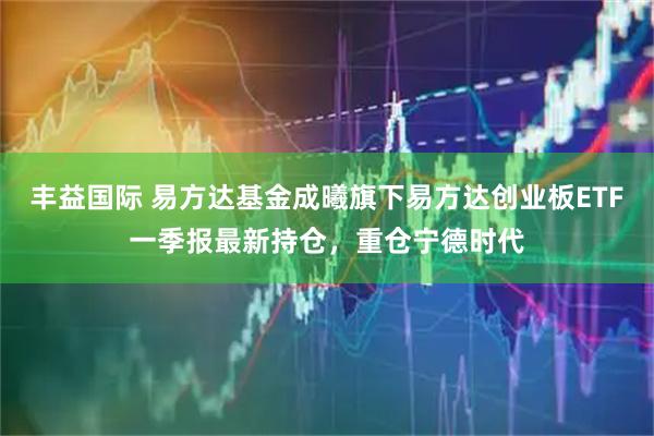 丰益国际 易方达基金成曦旗下易方达创业板ETF一季报最新持仓，重仓宁德时代