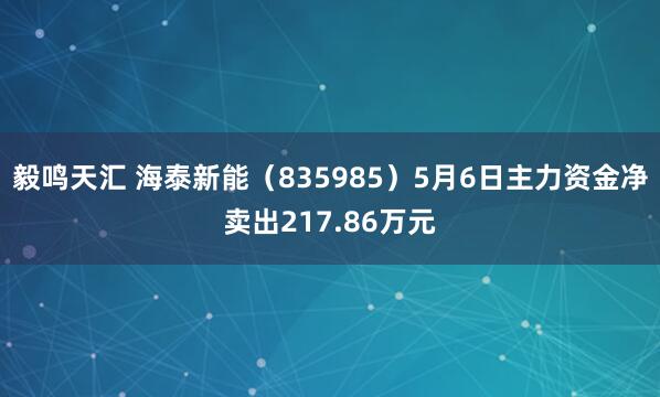 毅鸣天汇 海泰新能（835985）5月6日主力资金净卖出217.86万元
