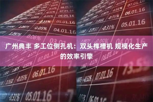 广州典丰 多工位侧孔机：双头榫槽机 规模化生产的效率引擎