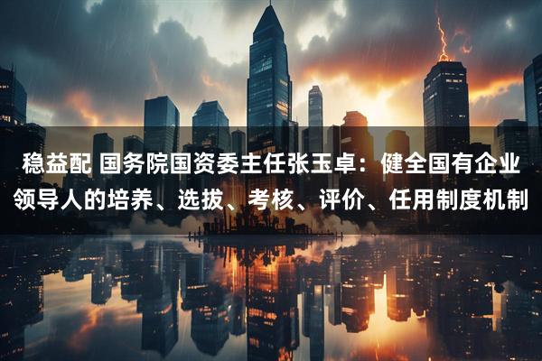 稳益配 国务院国资委主任张玉卓：健全国有企业领导人的培养、选拔、考核、评价、任用制度机制